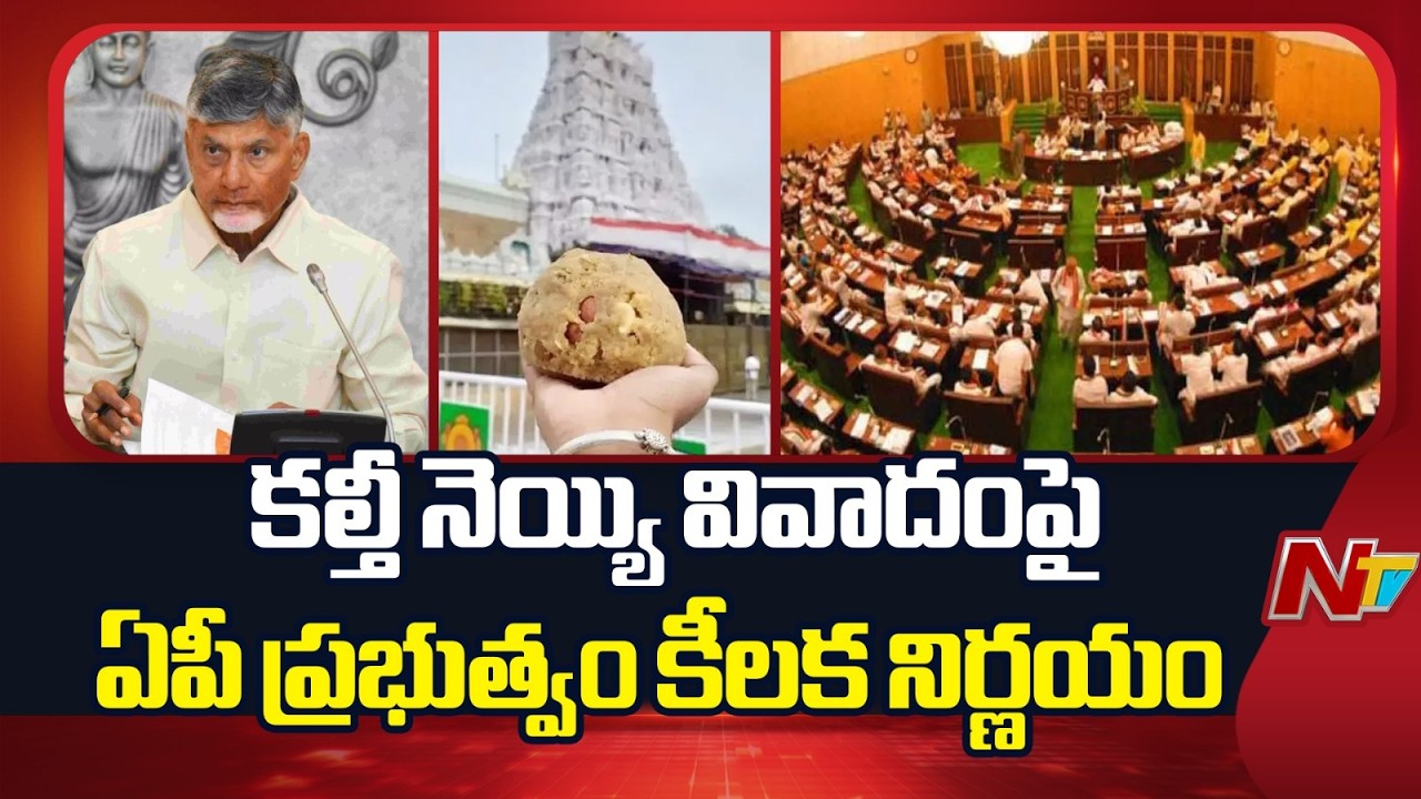 AP Govt Takes Key Decision in Adulterated Ghee Case | NTV Telugu