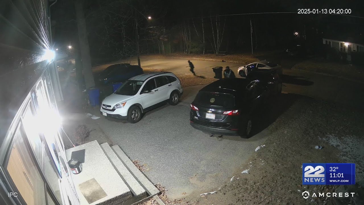Home Surveillance Camera Captures Springfield Car Break-Ins