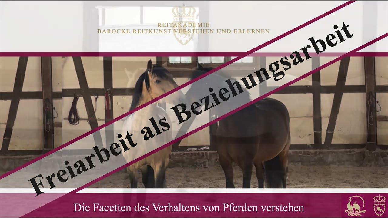 Onlinekurs Freiarbeit mit dem Pferd als Beziehungsarbeit - Trailer