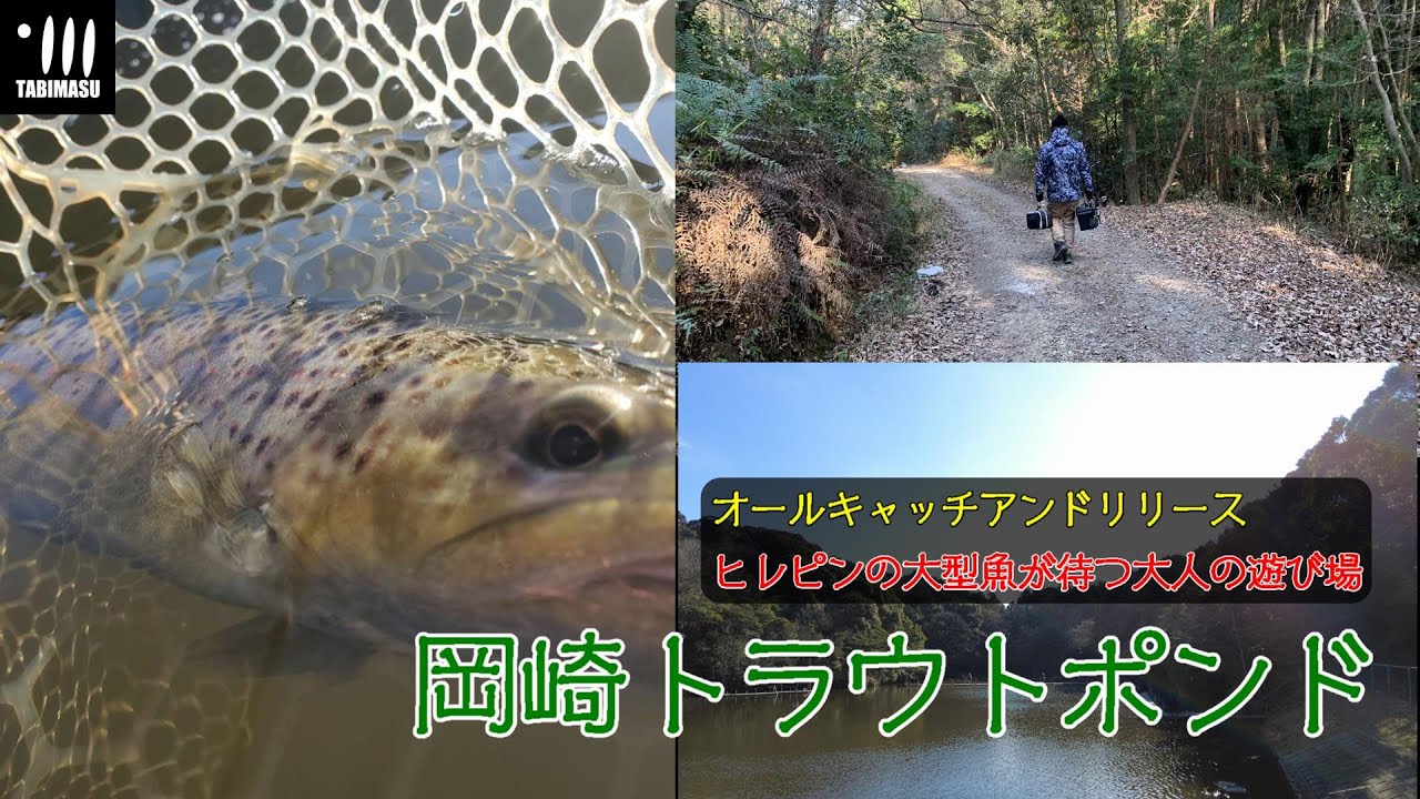 【旅するトラウトフィッシング#105】岡崎トラウトポンド【エリアトラウト】【管理釣り場】