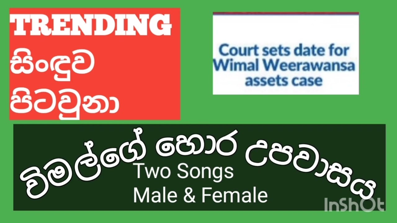 TRENDING සිංඳූව OF 2026 | මාරාන්තික | විමල් අයියාගේ | හොර උපවාසය 