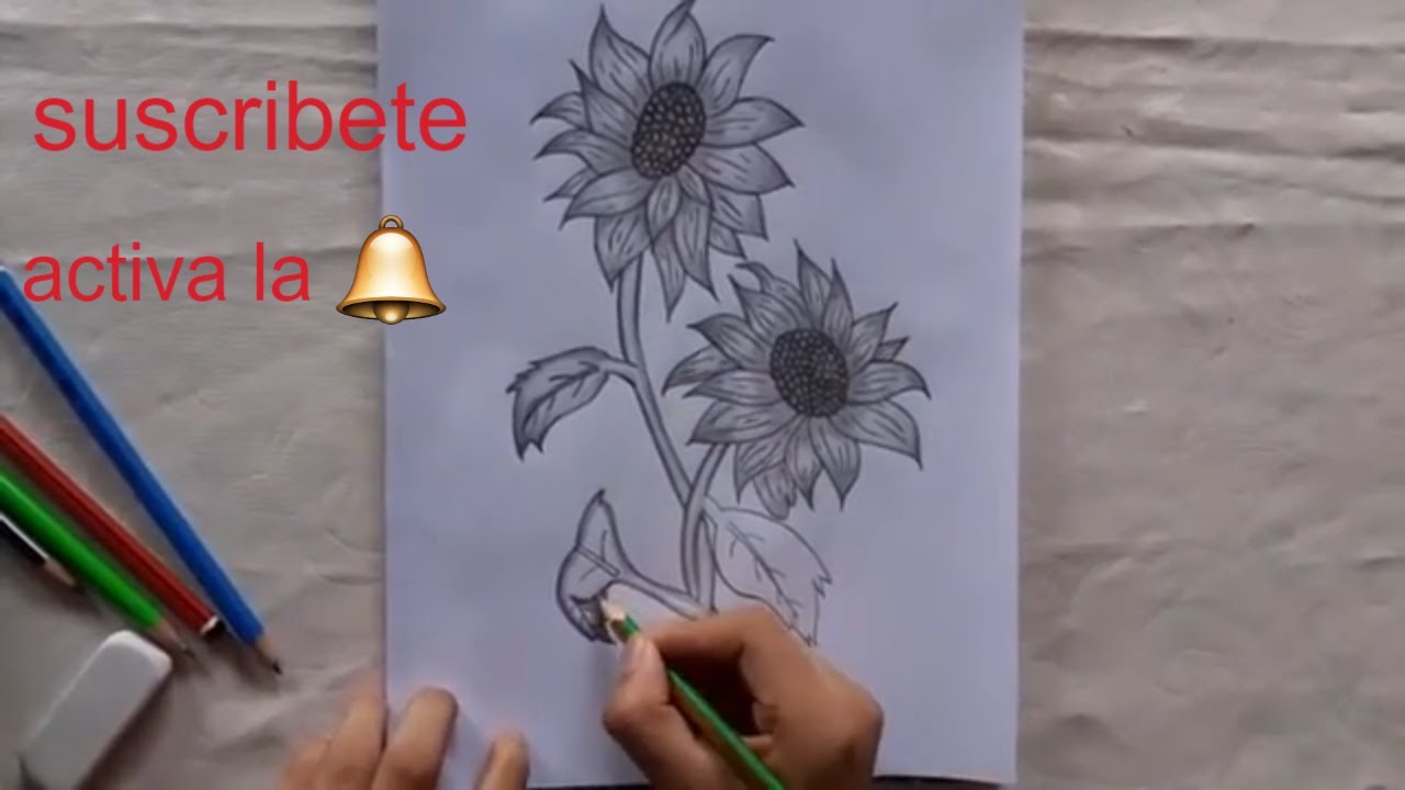 #dibuja_girasoles 🌻Como dibujar girasoles a lapiz grafito/How to draw sunflowers in graphite pencil🌻