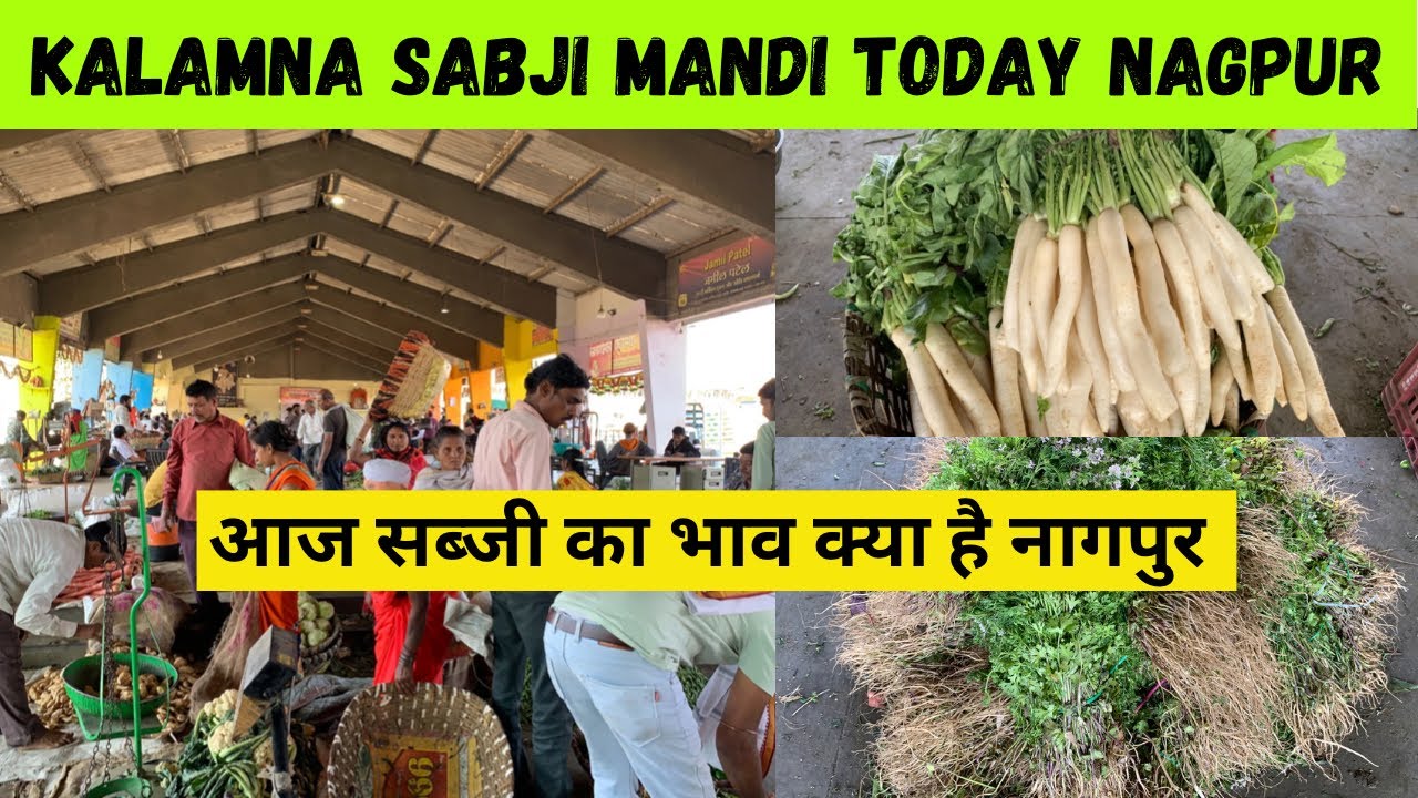 Wholesale sabji mandi Nagpur Vlog | Kalamna Market today 14/02/2023 | Nagpurkar Nishant