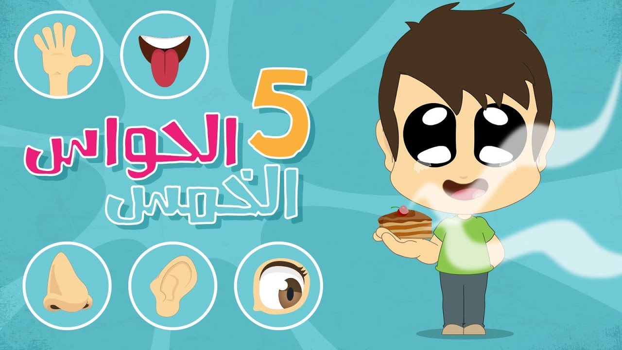 الحواس الخمس للاطفال باللغة العربية &ndash; تعلم الحواس الخمس مع زكريا