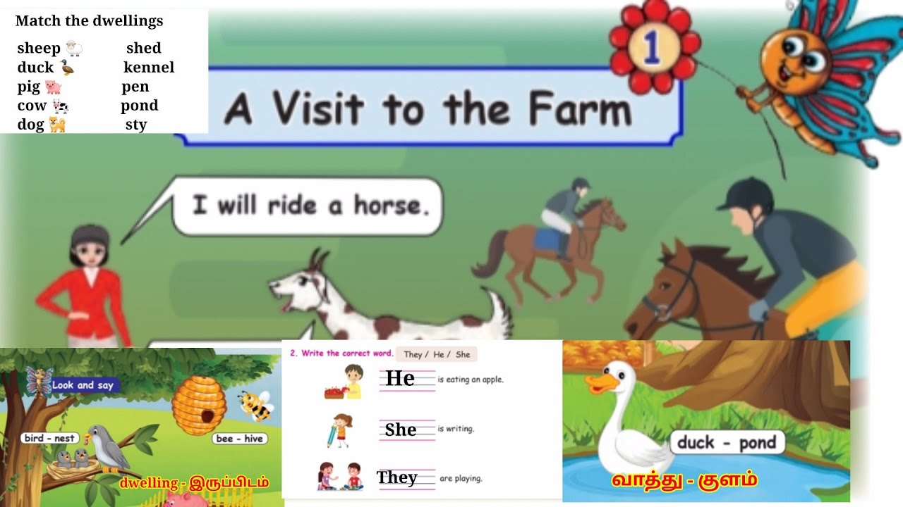 2nd Std English Third term A visit to the Farm