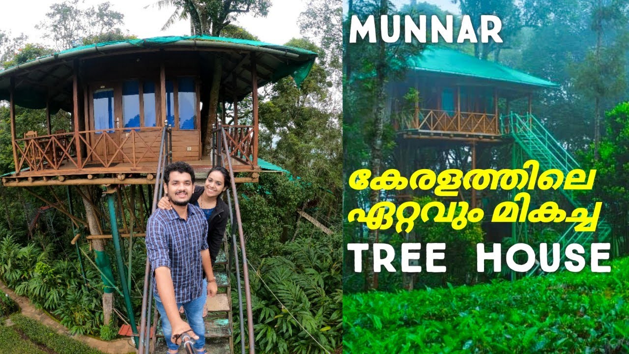 Best TREE HOUSE In Kerala | at Munnar | Resort in Munnar | Honeymoon Resort | Pineapple Couple