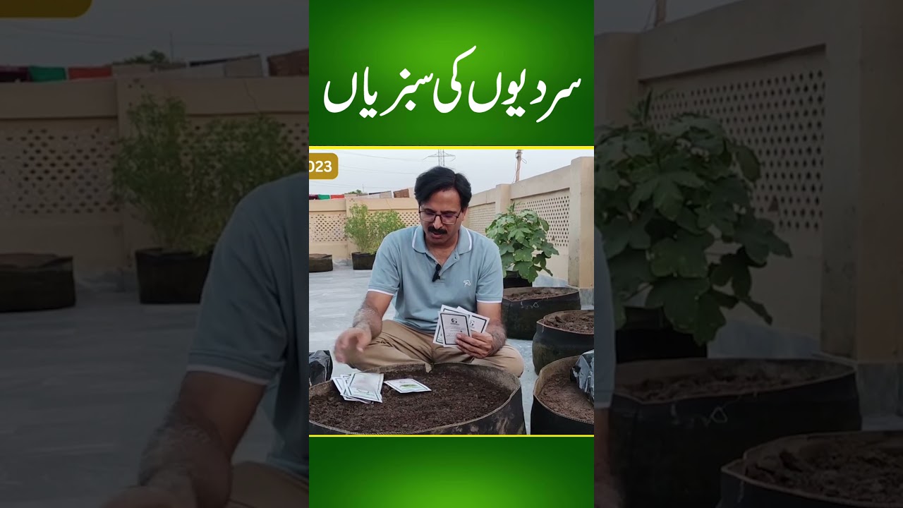 WINTER VEGETABLES - How to grow Radish, Carrot and Saag at home - #javediqbal #wintervegetables
