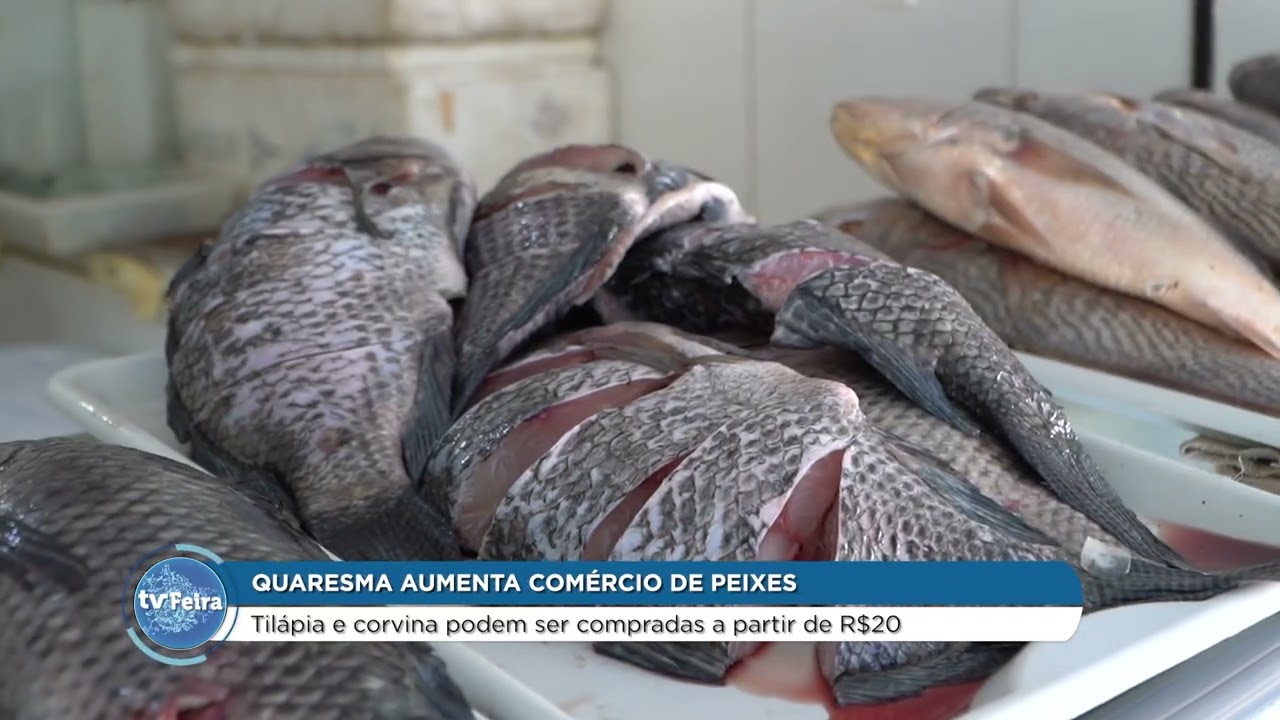 Início da Quaresma aumenta venda de peixes no comércio