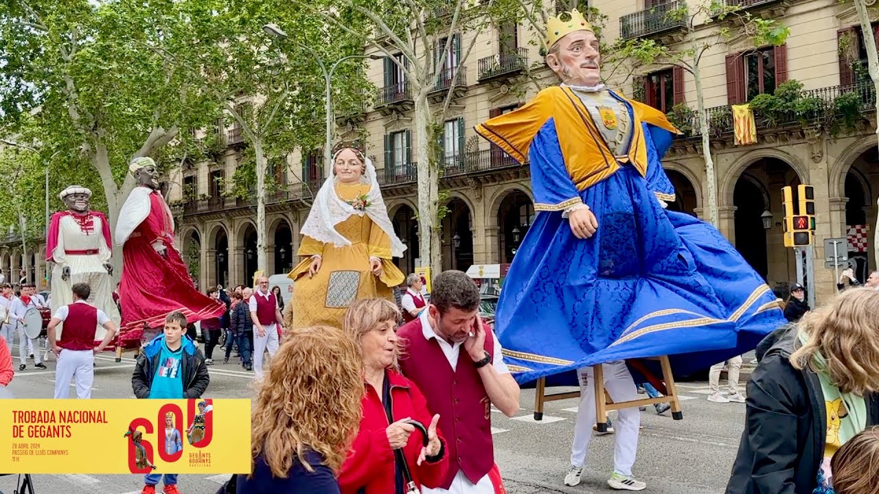 TROBADA NACIONAL DE GEGANTS - 600 ANYS DE GEGANTS A BARCELONA - Comparsa de Gigantes Cintruénigo