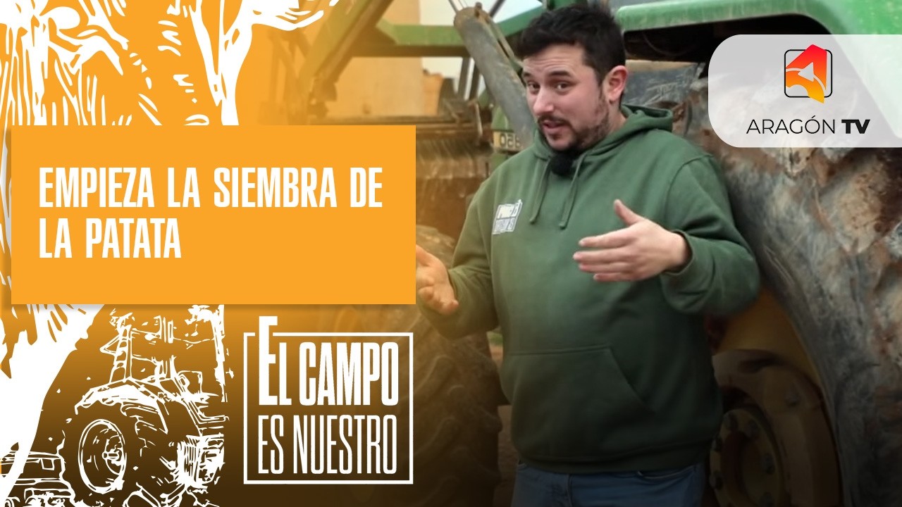 Empieza la época de siembra de la patata