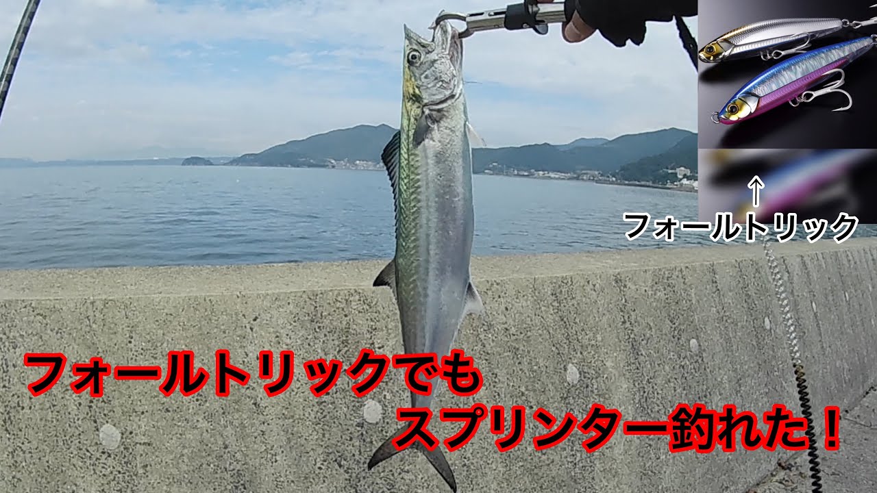 【ライトショアジギング】5時間投げ続けた結果&hellip;