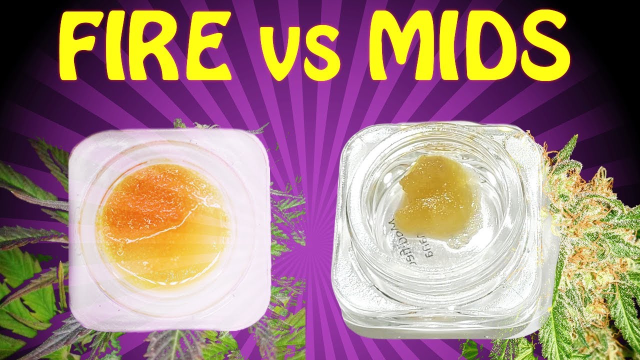 #Humblebee Live Resin | Fire vs Mids