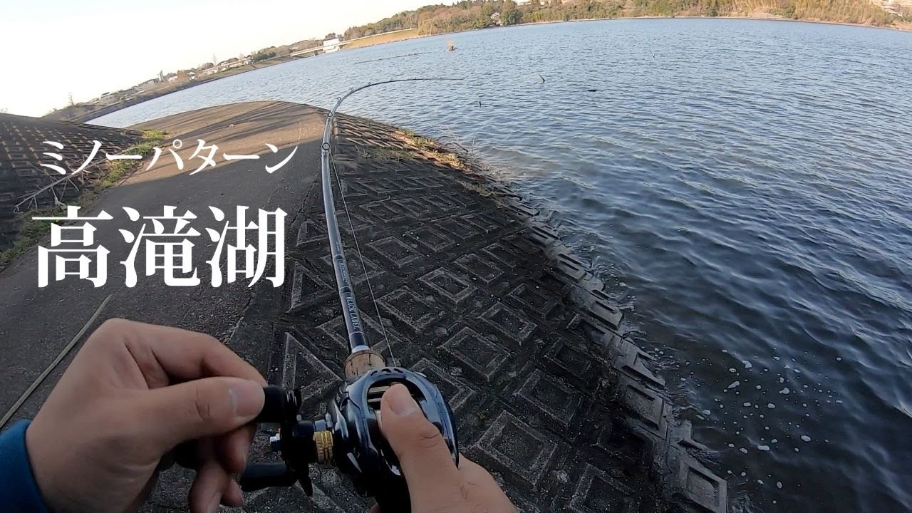 春の高滝湖がちょろすぎてワロタ