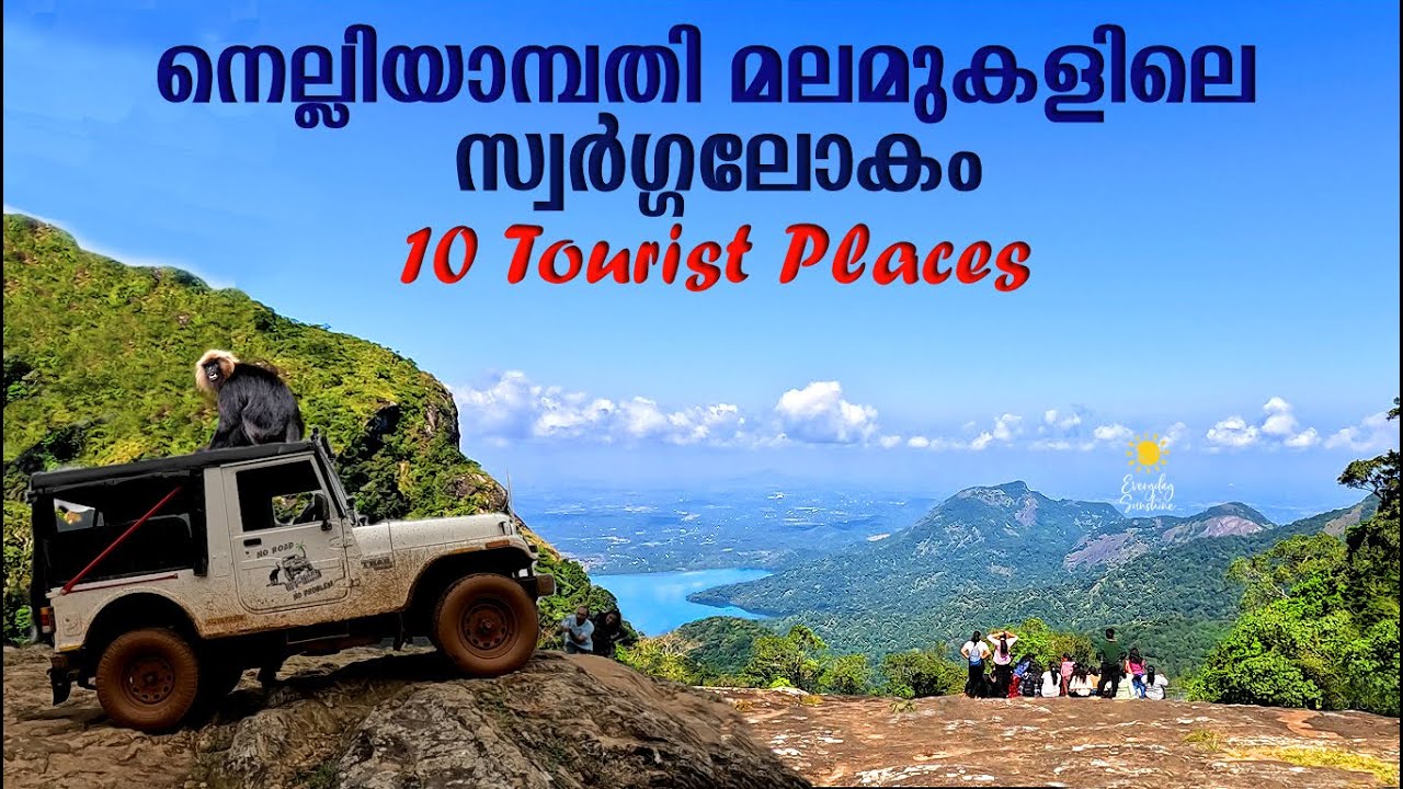 Nelliyampathy Tourist Places | Seetharkundu | Palakkad | Kerala One Day Tour Places | നെല്ലിയാമ്പതി
