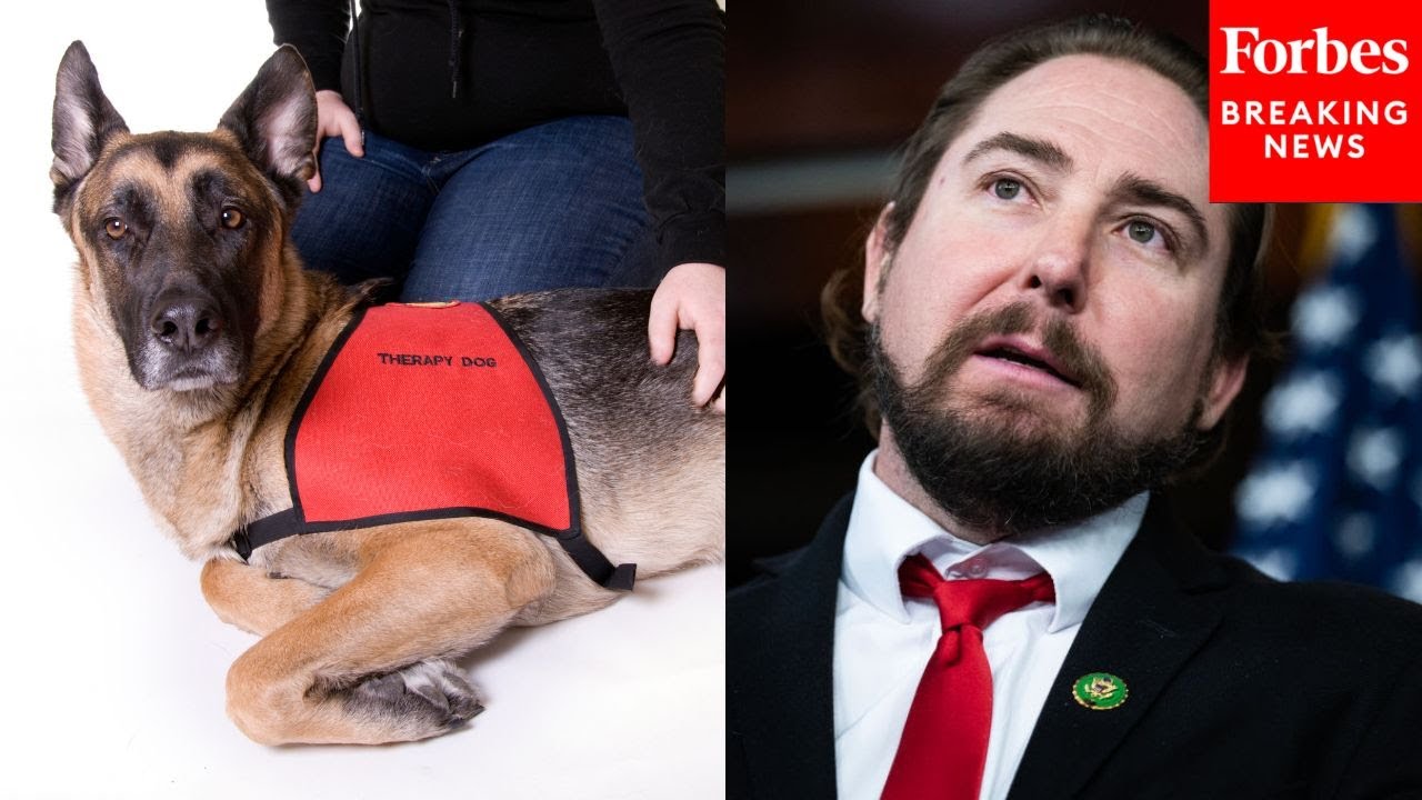 Eli Crane Asks If 'Therapy Dogs' Can Be Brought In For Democrats Upset By Elon Musk's DOGE Work