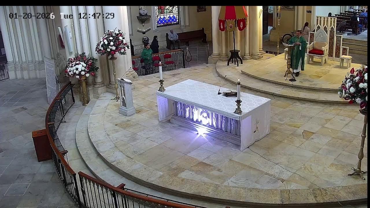 Transmisión Eucaristía Basílica de Lourdes   2024