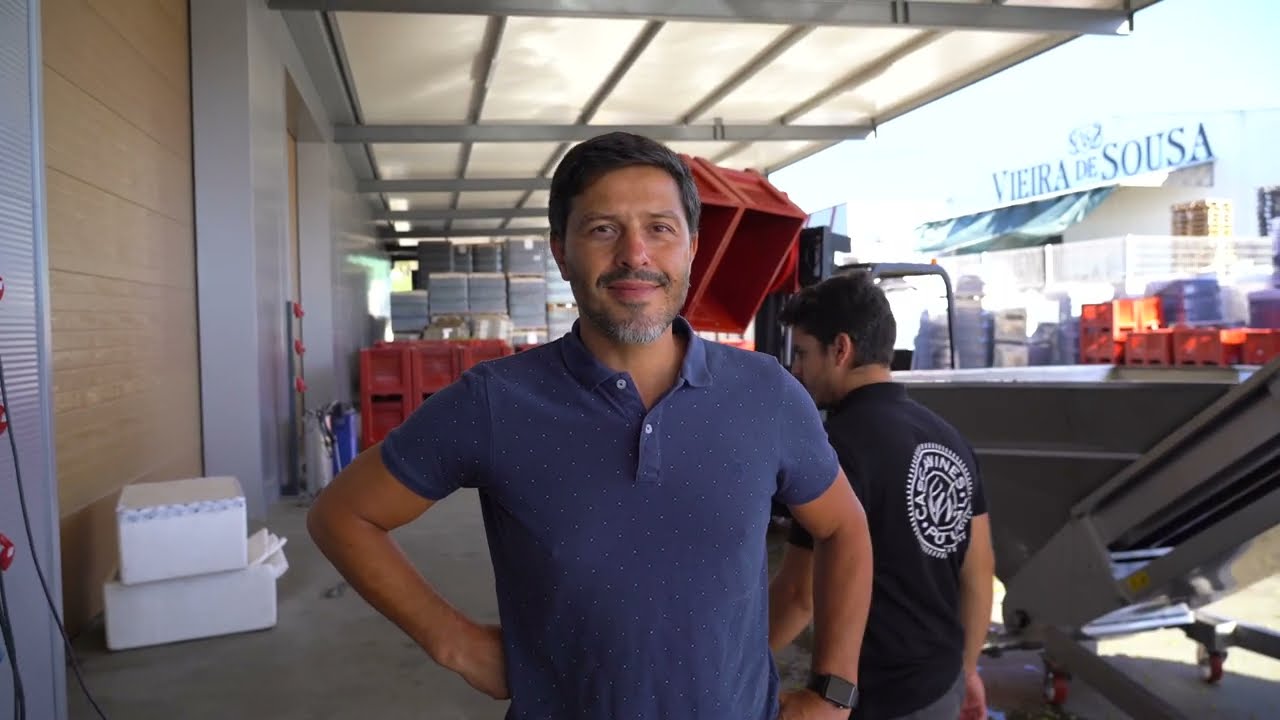 Vindimas 2022 - Douro | Hélder Cunha Winemaker - Powered by Cascas Wines