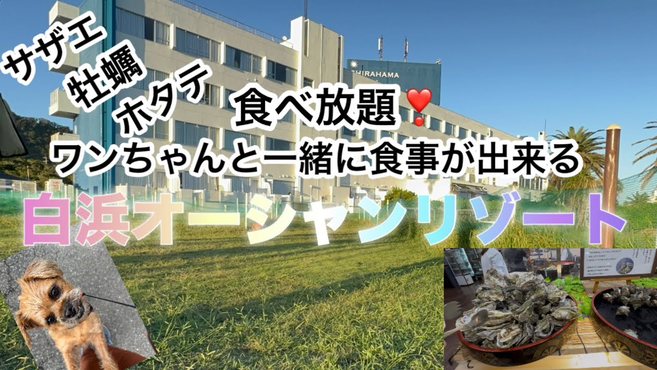 【愛犬とお泊まり】 海鮮浜焼きコスパ最強！白浜オーシャンリゾート