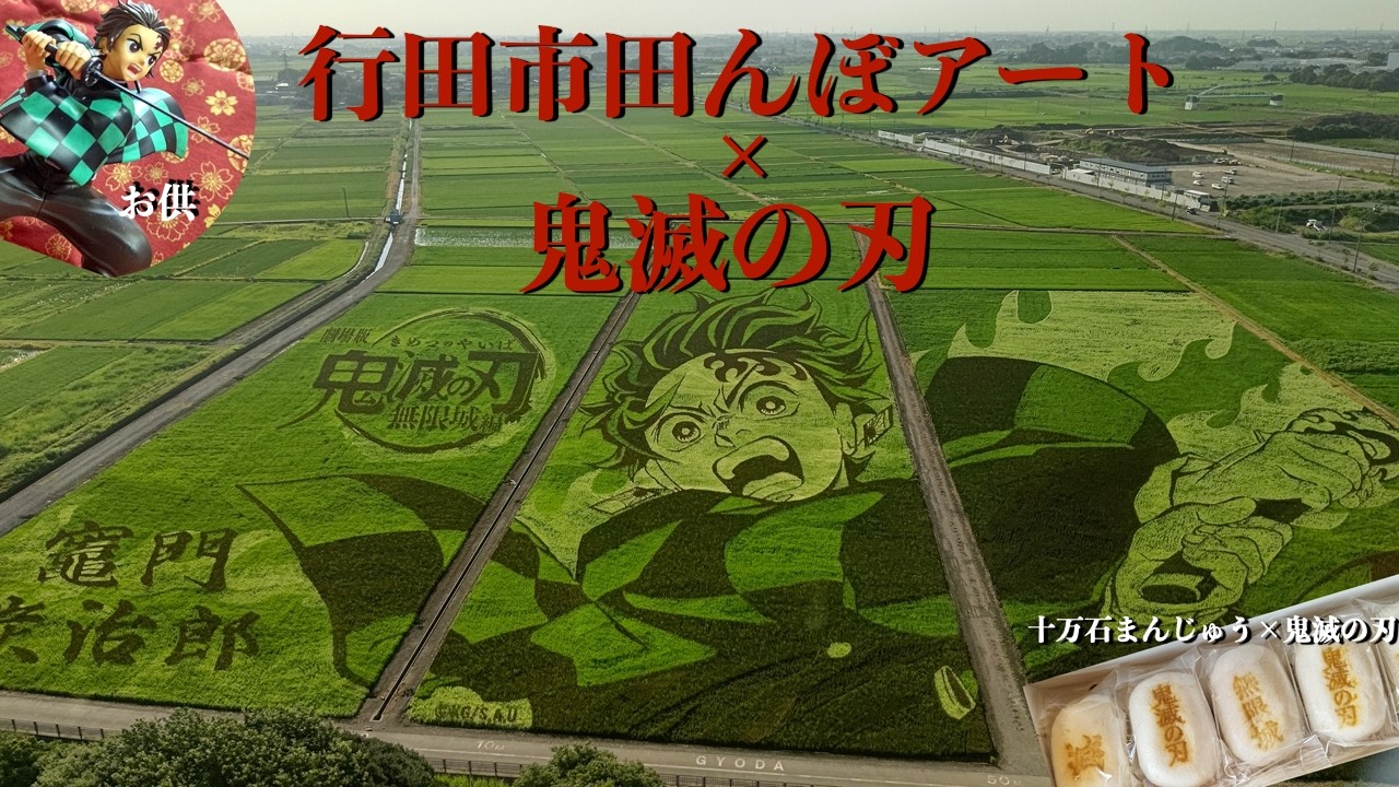 2025年 行田市 田んぼアート × 鬼滅の刃     竈門炭治郎同行！  Vol.2
