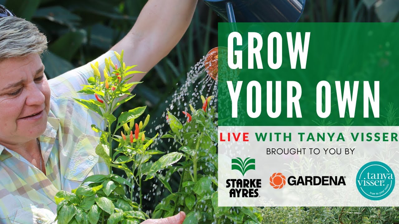 Tanya Visser LIVE – Grow your own edibles