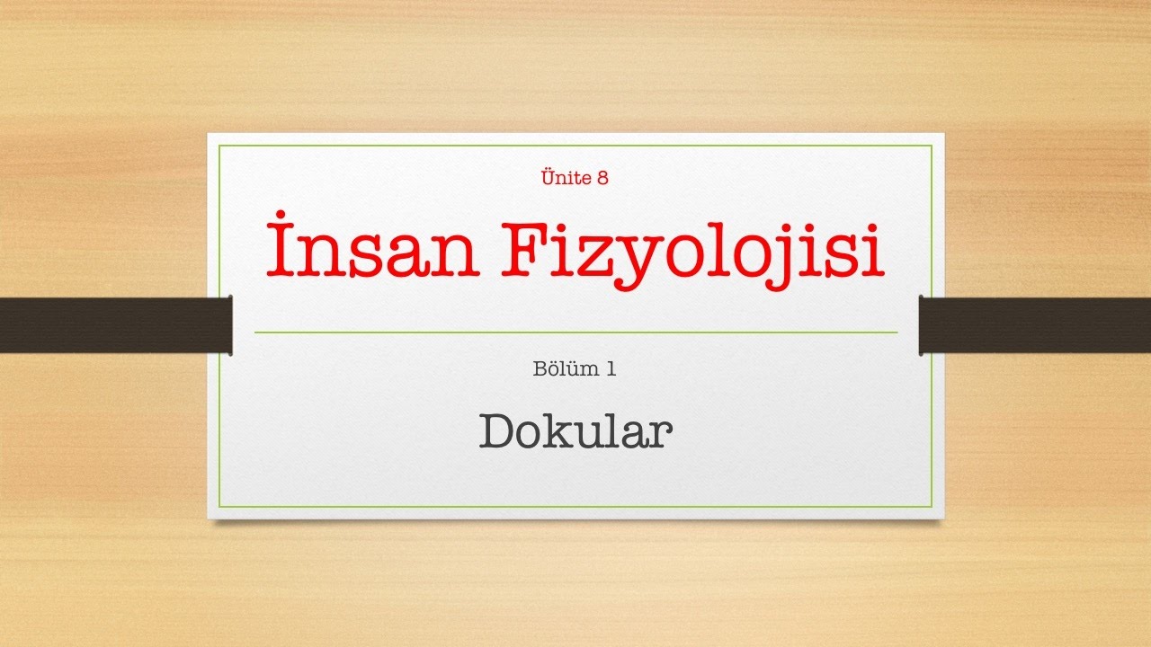 Dokular-1
