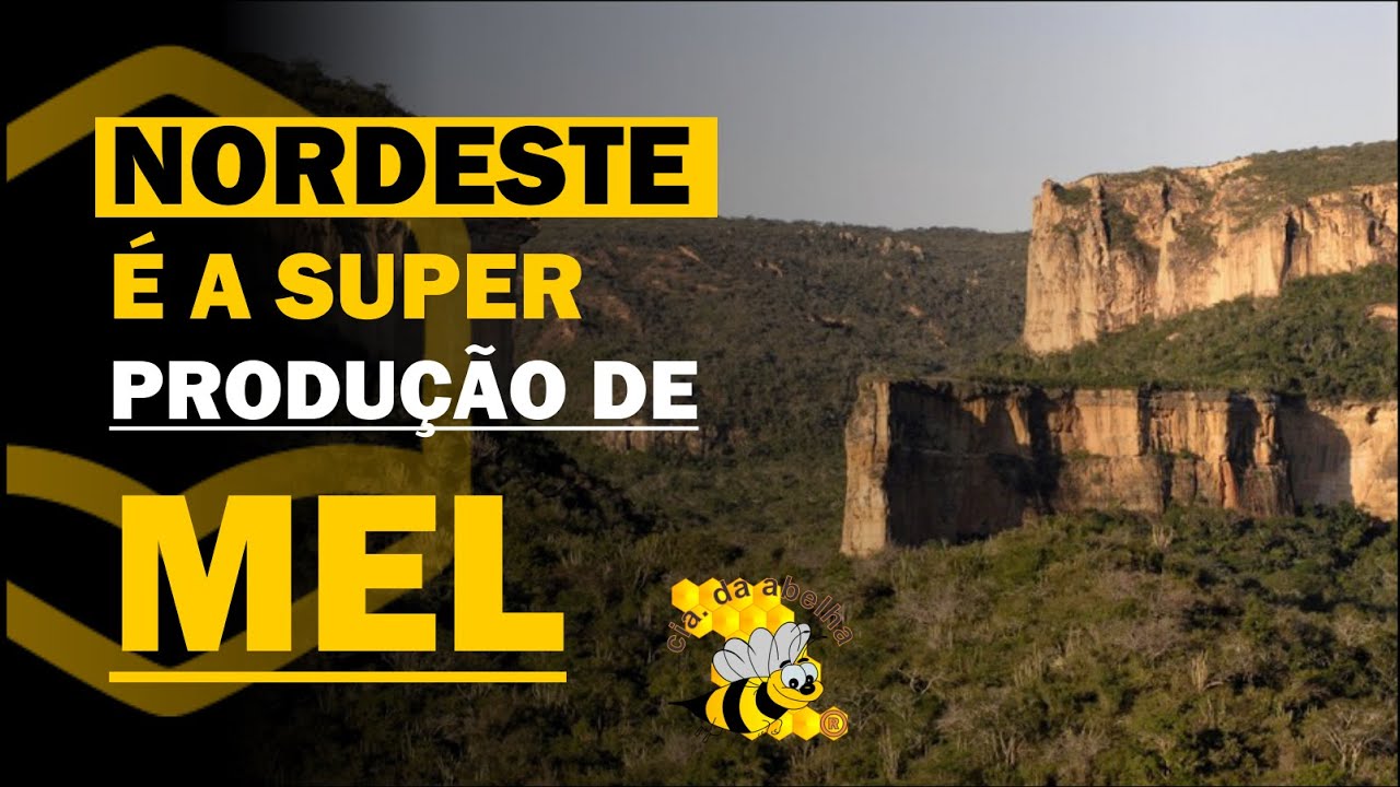 Calendádio apícola do nordeste brasileiro | Armindo Vieira - Cia da Abelha