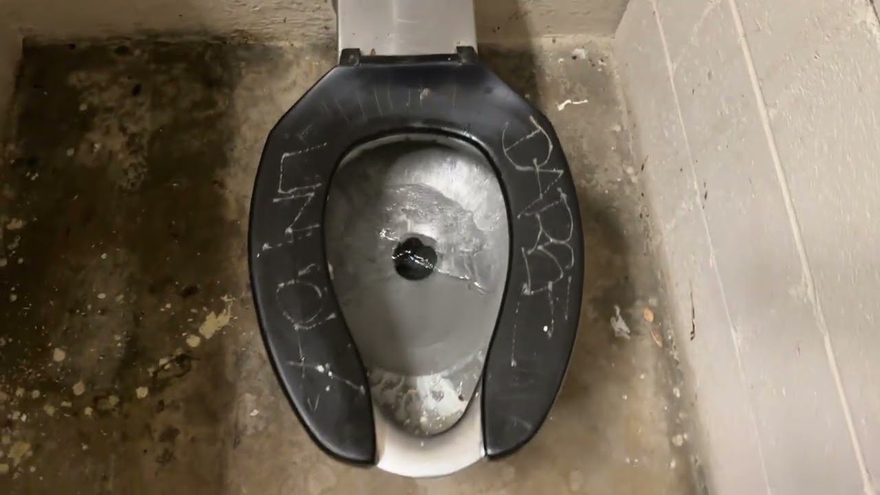 [603] Unsanitary Park Restroom