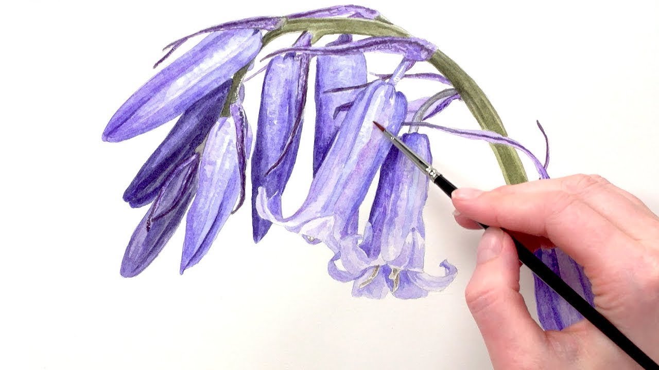 How to paint realistic bluebells in watercolor [perfect for beginners]
