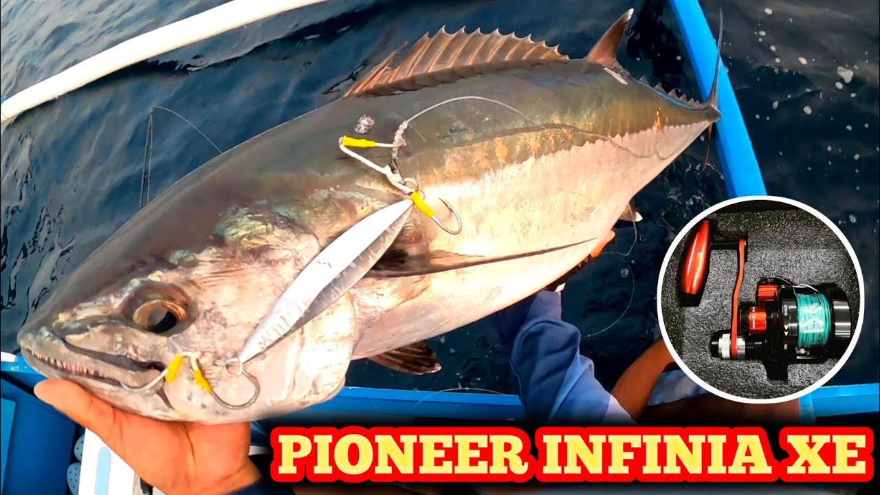 WILD FISH | THE POWER OF PIONEER INFINIA XE CATCHING DOGTOOTH TUNA AND THRESHER SHARK AGAIN