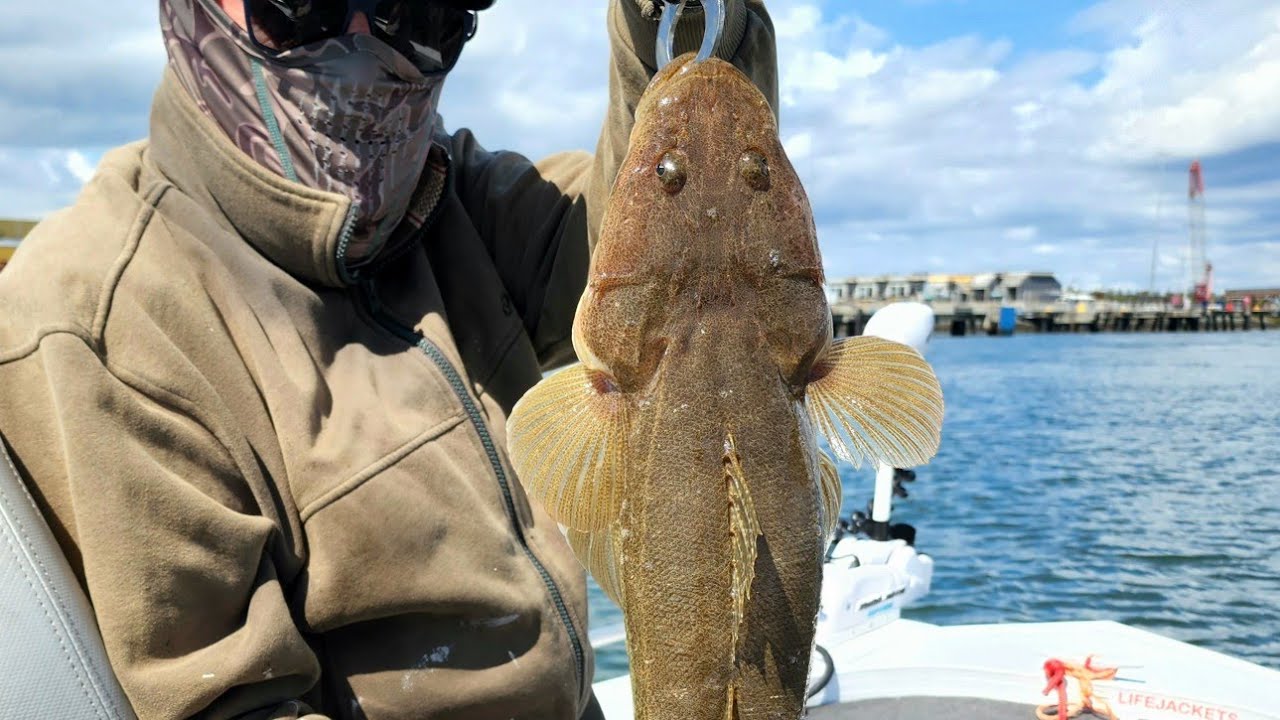 Fishing the Port of Brisbane August 2022 Flathead Central!