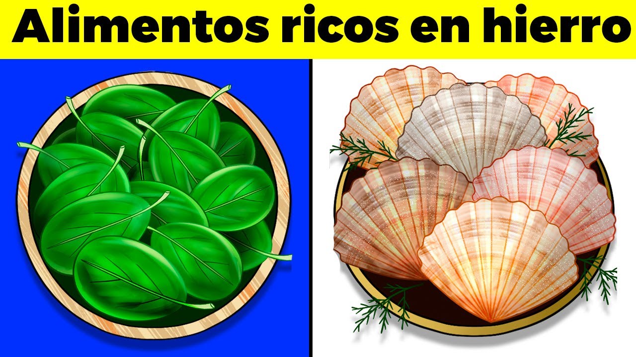 12 ALIMENTOS RICOS EN HIERRO y porque el hierro es importante para tu cuerpo