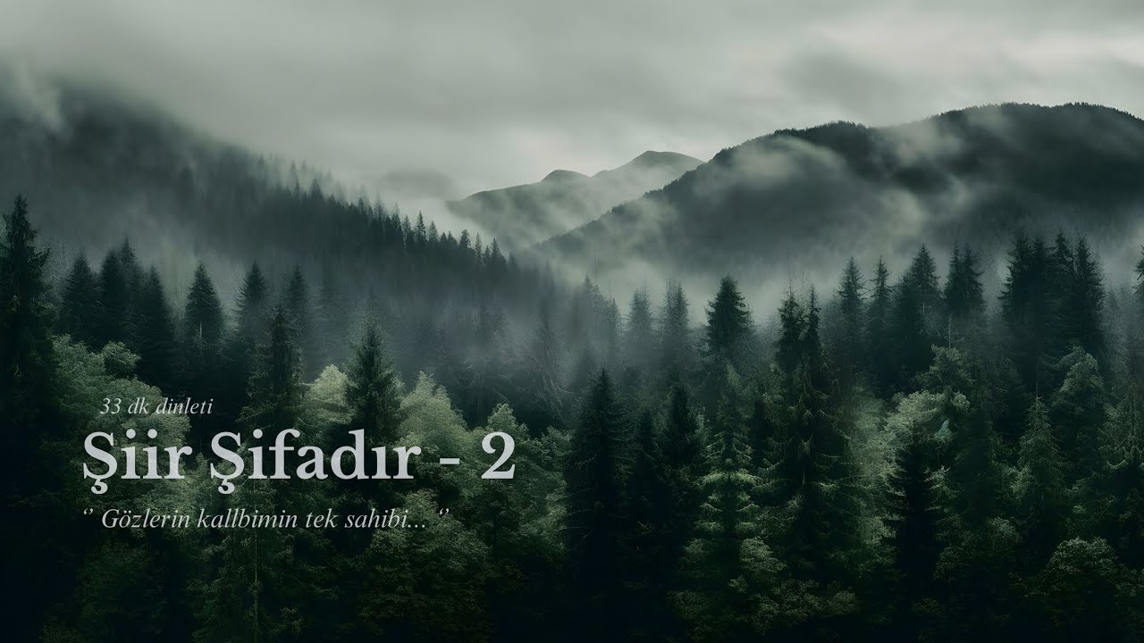 Şiir Şifadır - 2
