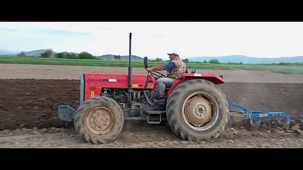TAFE 45 DI 4X4 ORANJE 2024 ZULBEAR OSMANOSKI PLOWING