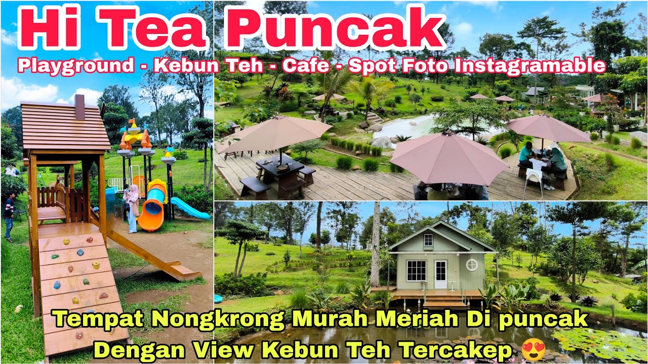 HI TEA CAFE PUNCAK BOGOR | Rekomendasi tempat Nongkrong Murah Meriah dengan View Kebun Teh Tercakep