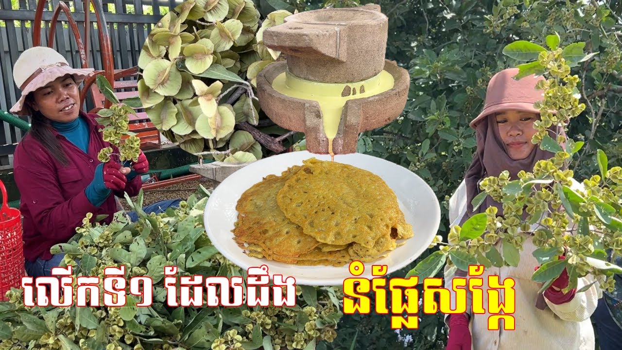 ប្លែក! លើកទី១ដែលស្គាល់ នំផ្លែសង្កែ /មិននឹកស្មានថា ផ្លែសង្កែឆ្នៃធ្វើនំញ៉ាំបាន