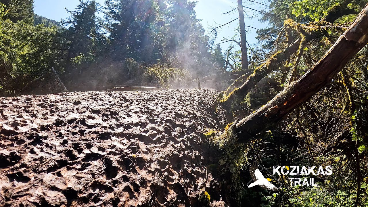 Koziakas Trail 25km-1700m