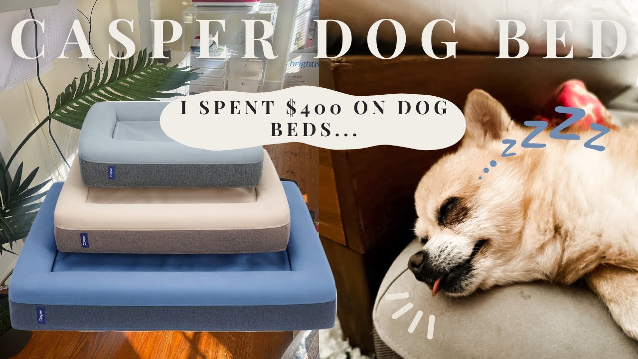 $200 Dog Bed Review 🐶 | Is Casper Dog Bed Worth the Price? 💲💲💲
