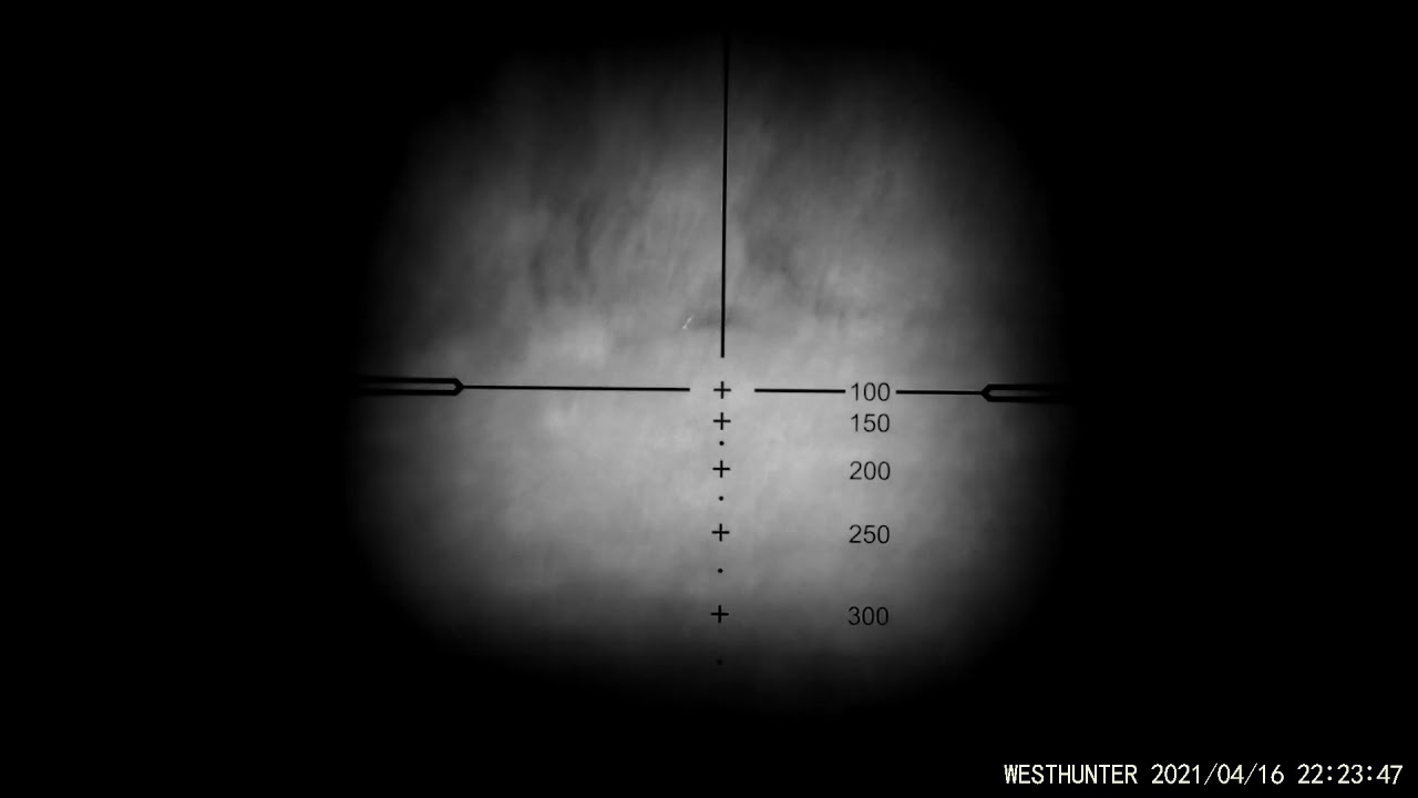 Westhunter nve20 best night vision add on scope. Field test. / pard 007