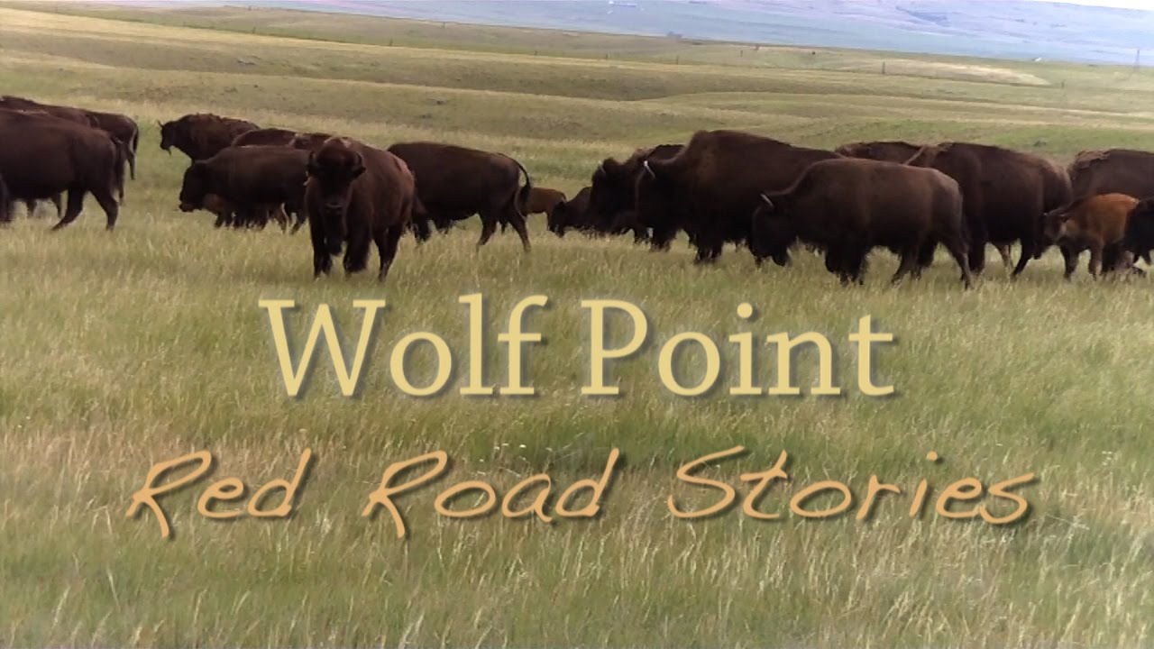 Wolf Point:  Red Road Stories