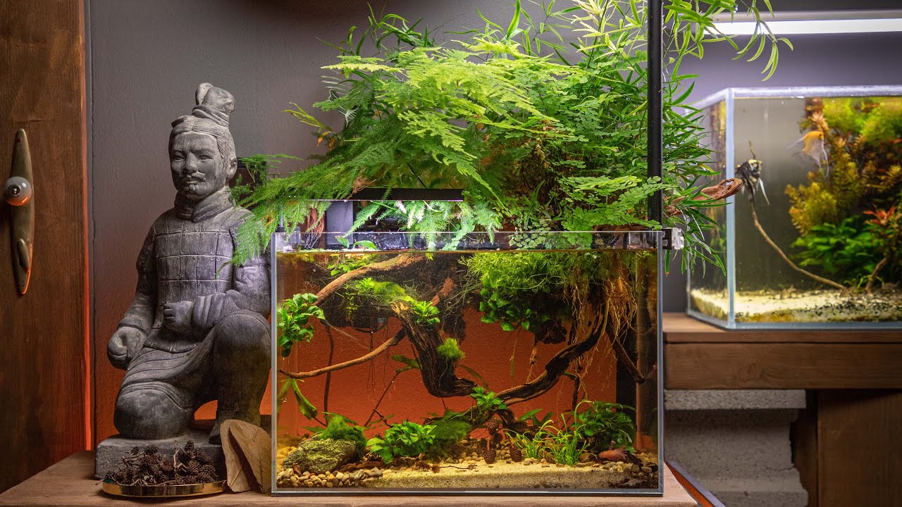 My Betta aquarium with lots of houseplants - 3 months update