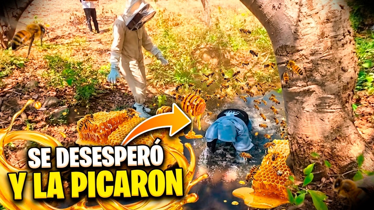 Karina fue ataca-da por las abejas y no le toco otra opción que tirarse al agua