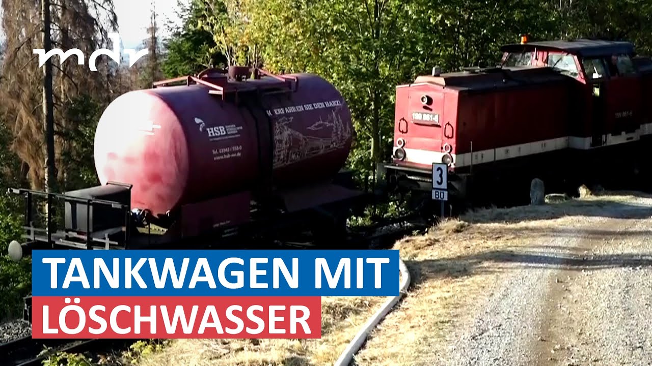 Nationalpark in Flammen: Feuerwehren bekämpfen großen Waldbrand im Harz | MDR um Zwei | MDR