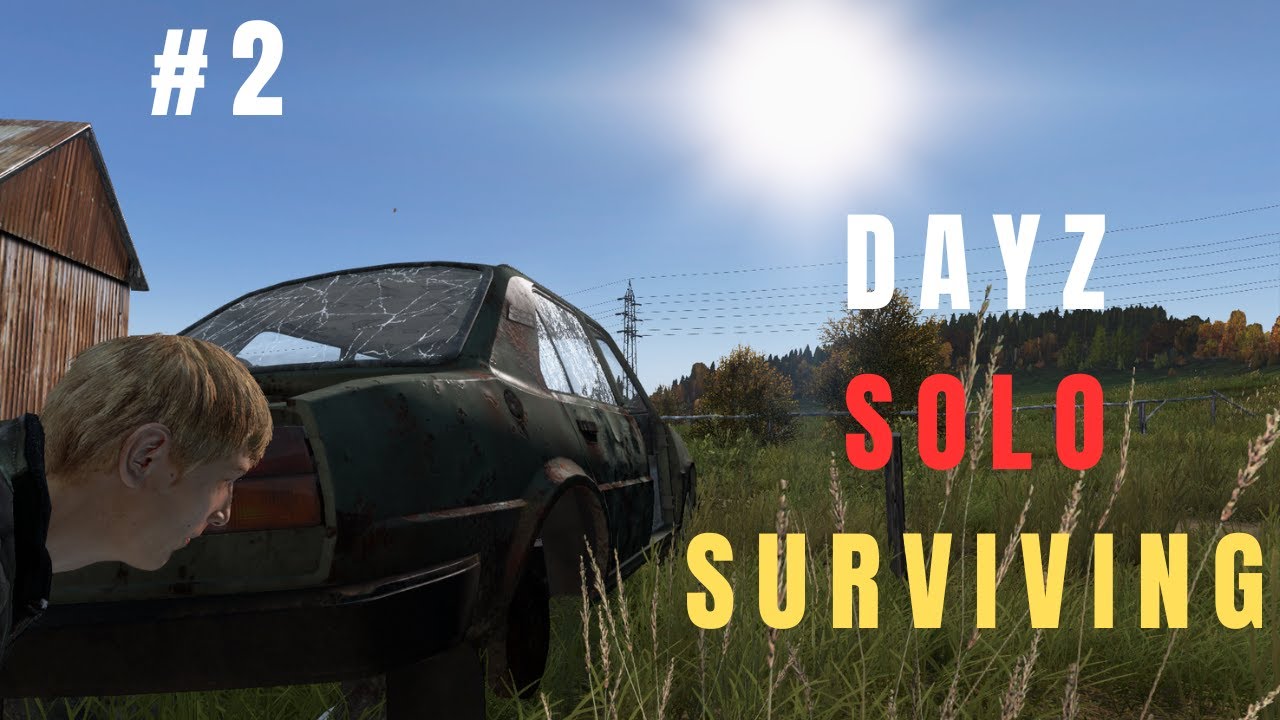 DayZ Jak grałem w DayZ na Oficjalnym serwerze DayZ[PL]