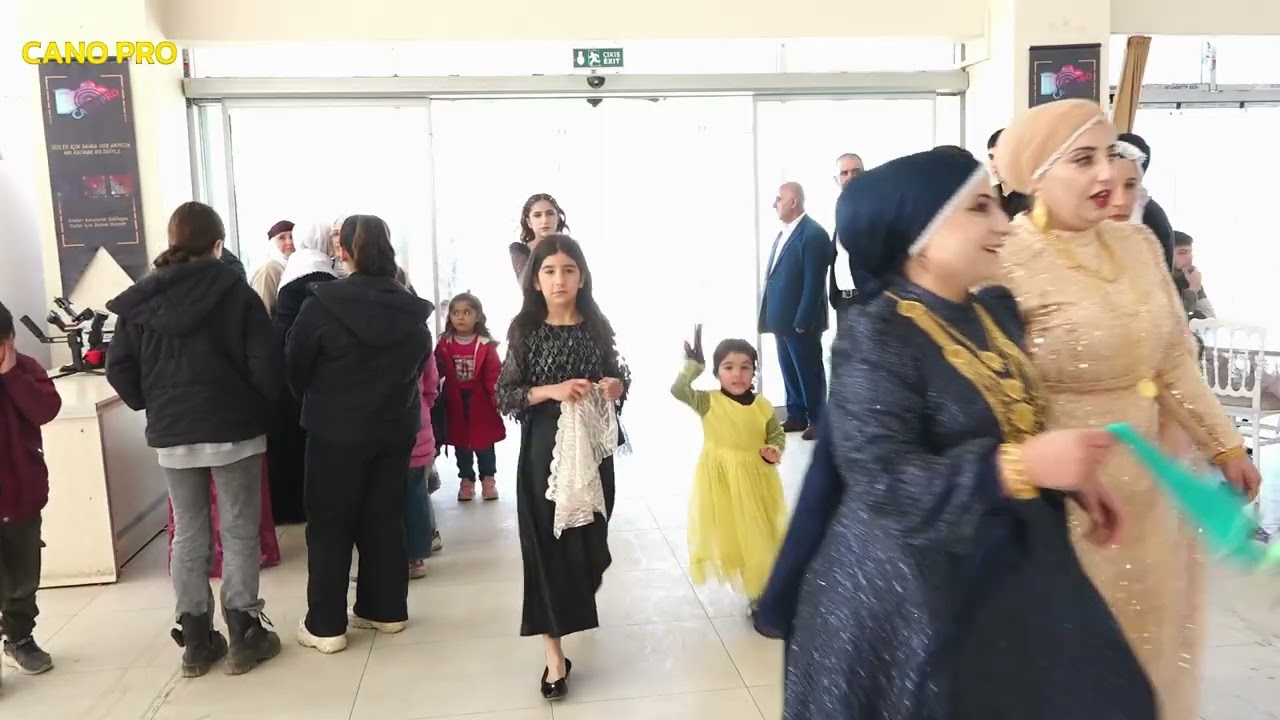 Bahattin rukiye Nişan part 1 Cano pro Mazıdağı