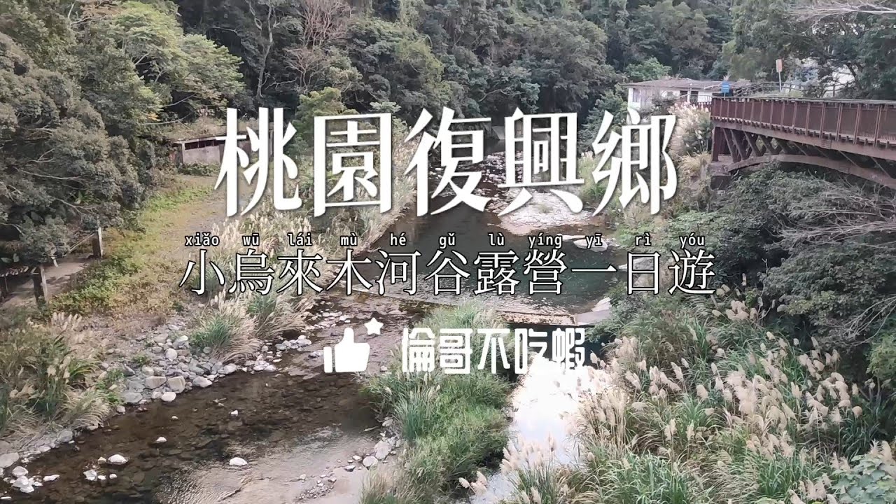 桃園小烏來木河谷露營一日，Igt露營桌，行軍床帳蓬開箱，露營倫哥不吃蝦！