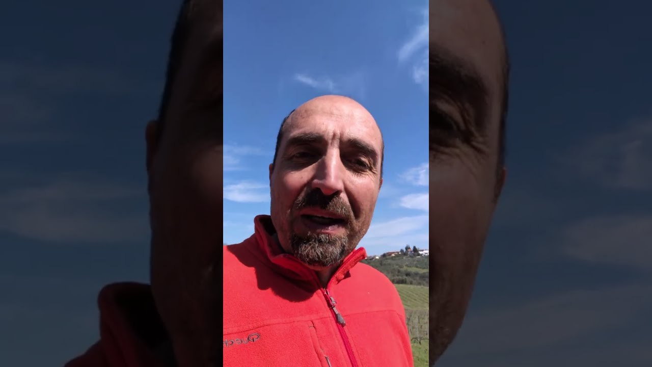 Simone Chiarelli: il procedimento amministrativo in sintesi