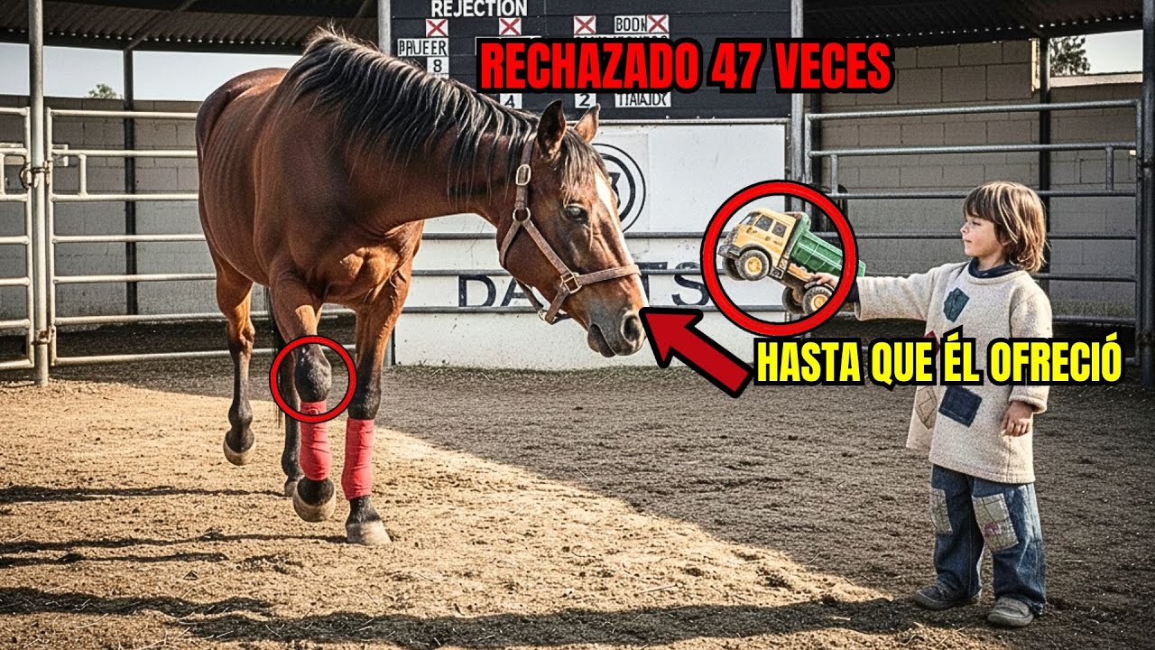 Caballo Cojo Rechazado 47 Veces En Subastas: Hasta Que Un Niño Pobre Ofrece Su Único Tesoro A Cambio