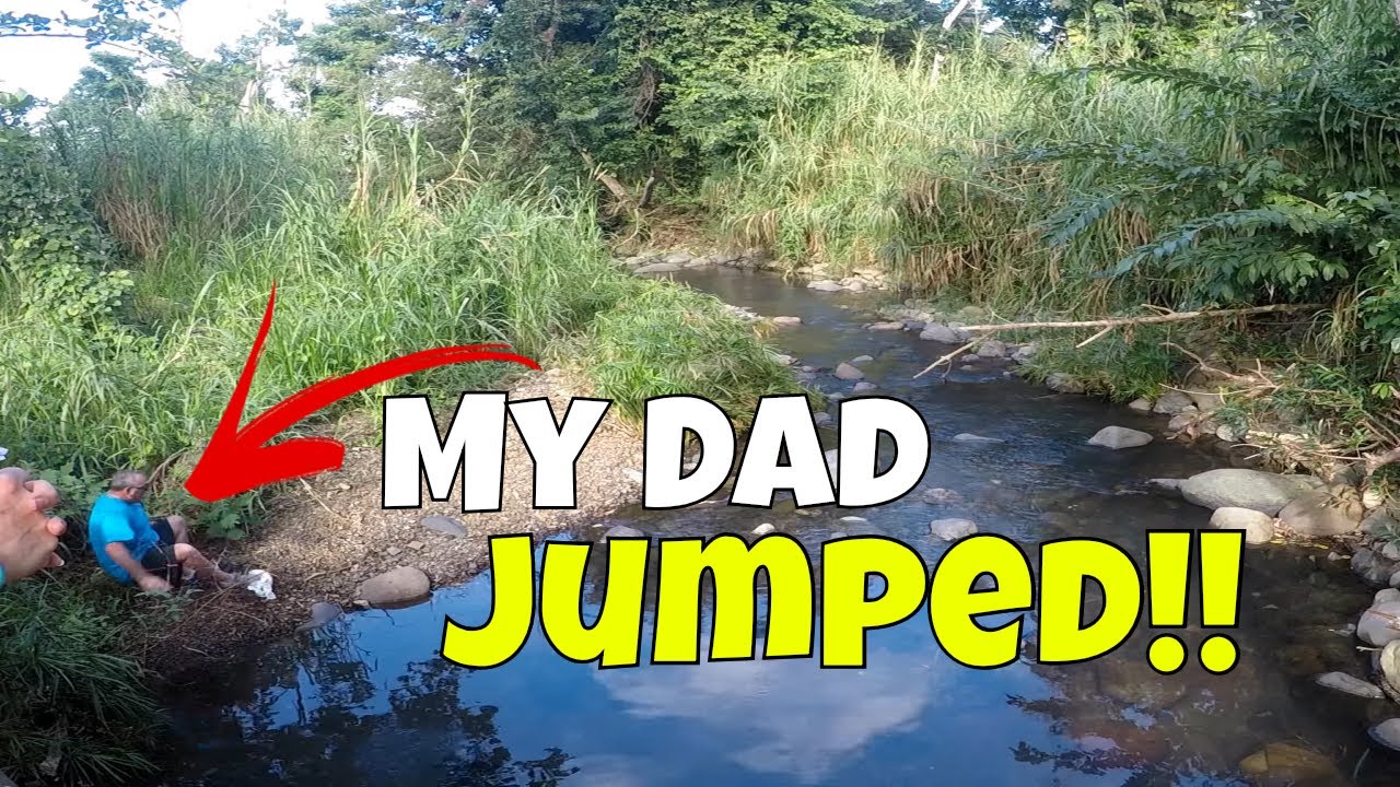 Finding WILD Bamboo Shrimp can be DANGEROUS!!