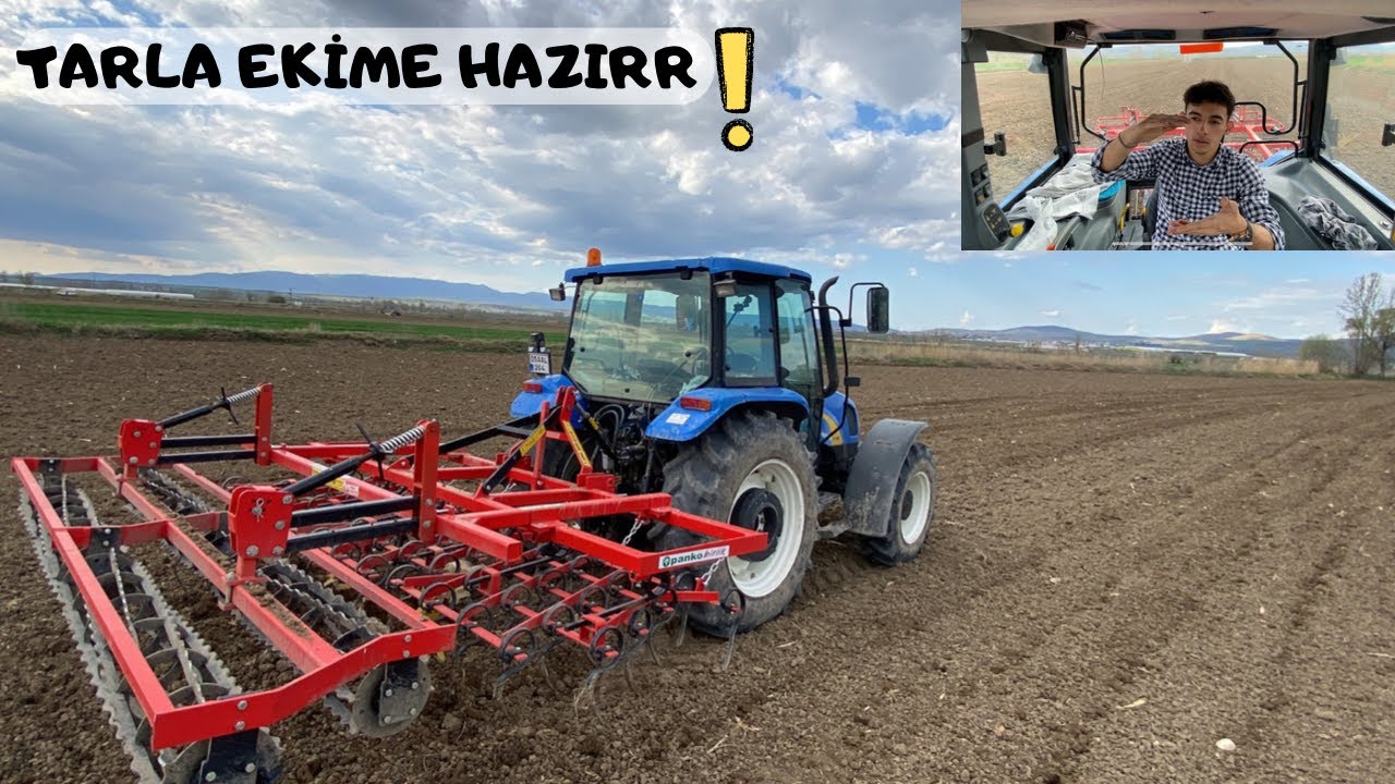 TİLLER ÇEKİYORUZ MAVİ BOĞA EŞLİĞİNDE || SON MISIR YERİ HAZIRLIĞI || NEW HOLLAND TL100A