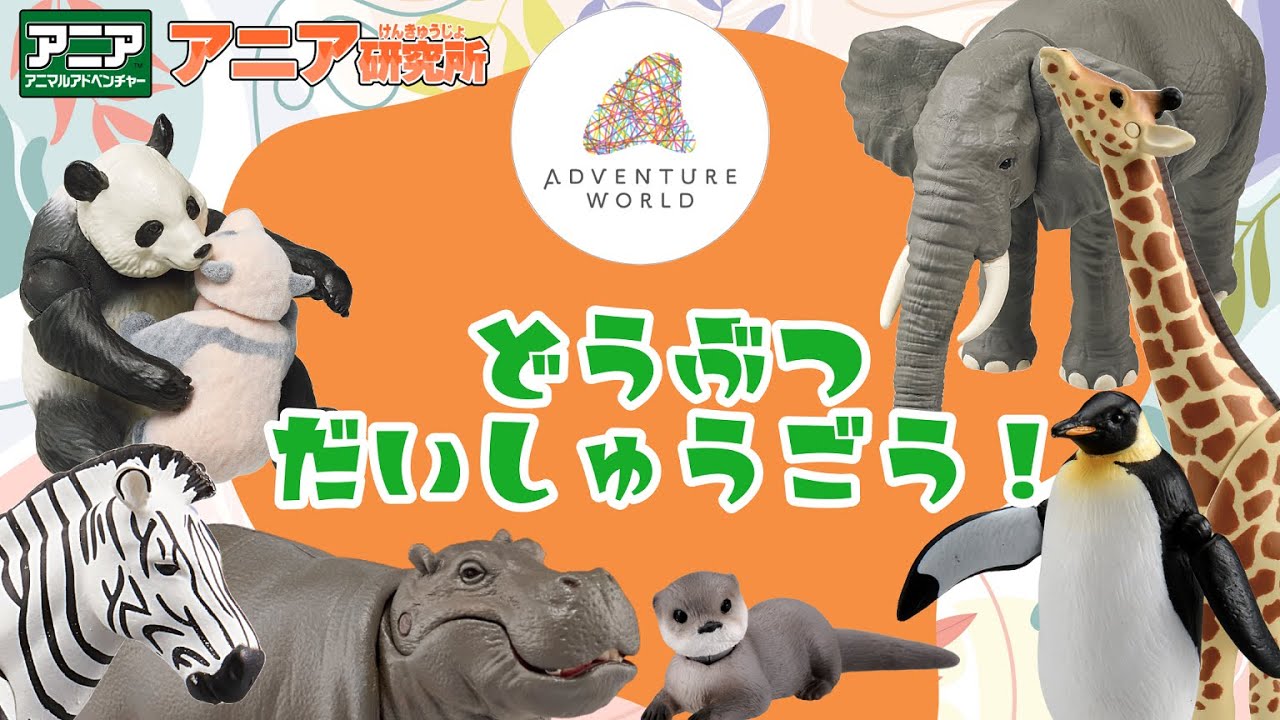 【アニア研究所】アドベンチャーワールドの動物たちにあってきたよ！（前編）